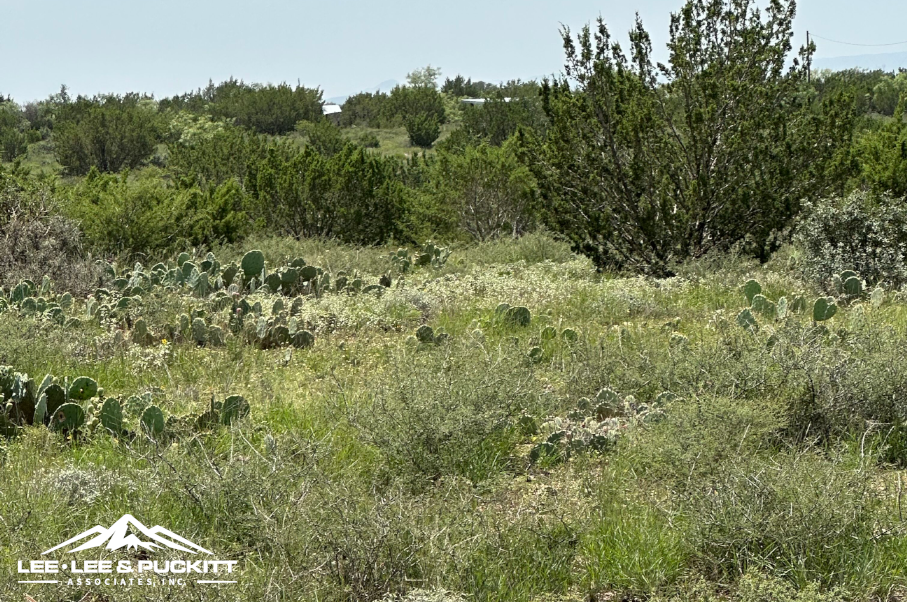 Round House Ranch Photo