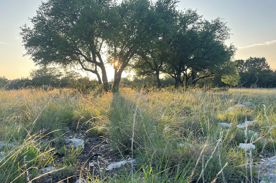 Schneider Ranch Photo