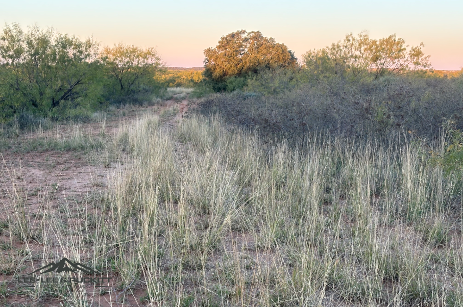 Lone Oak Ranch Photo
