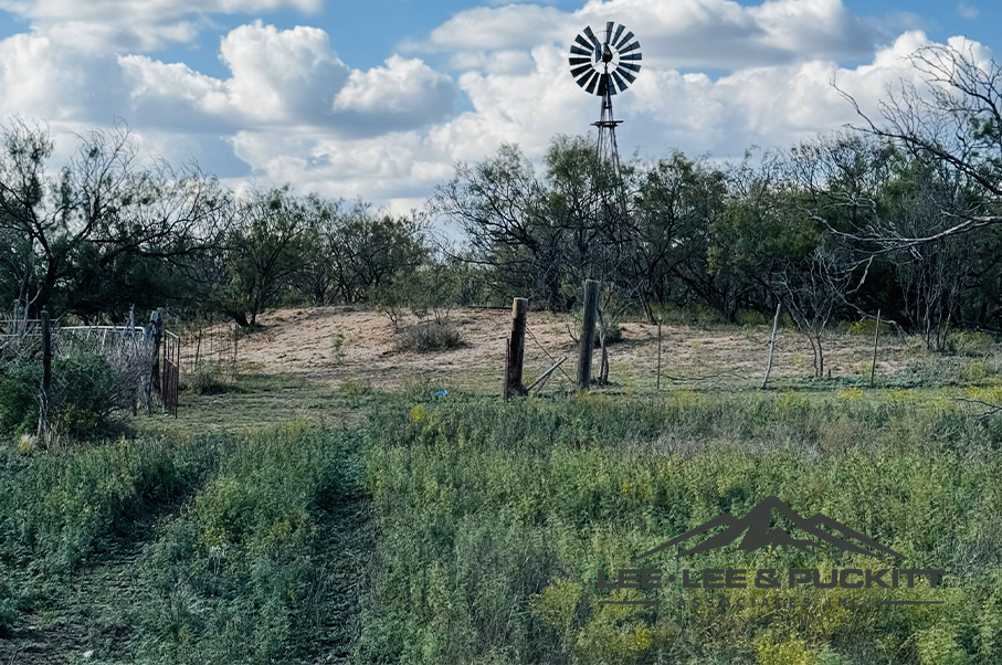 Box Ranch Photo