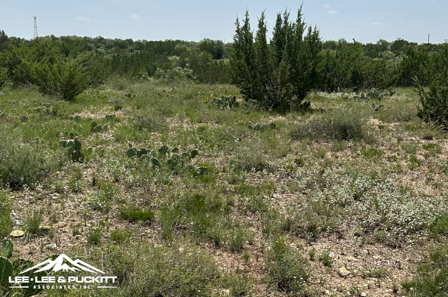 Round House Ranch Photo