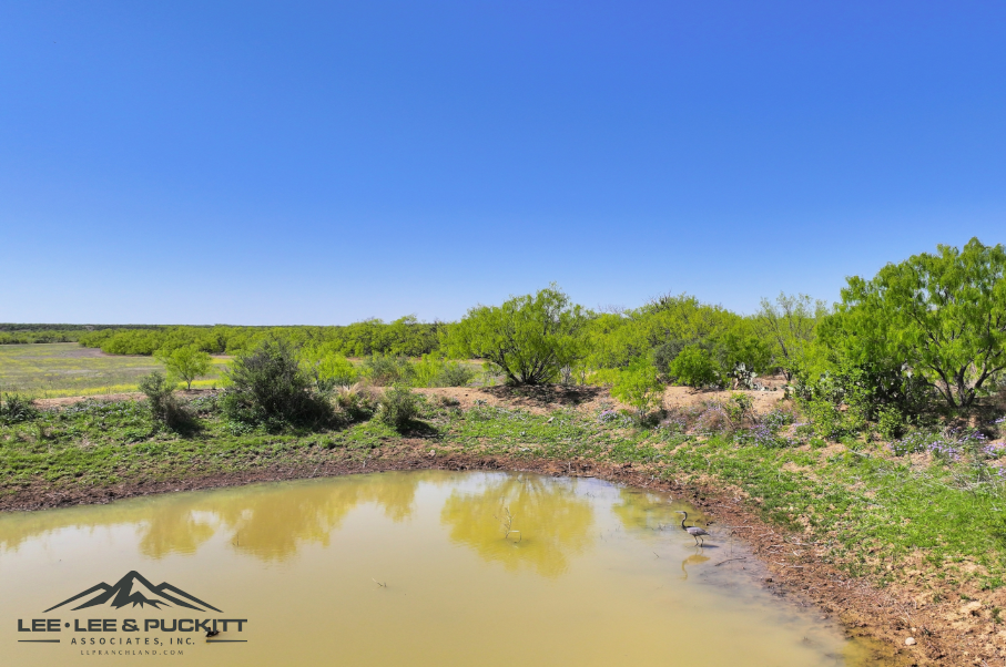 Black Ranch Photo