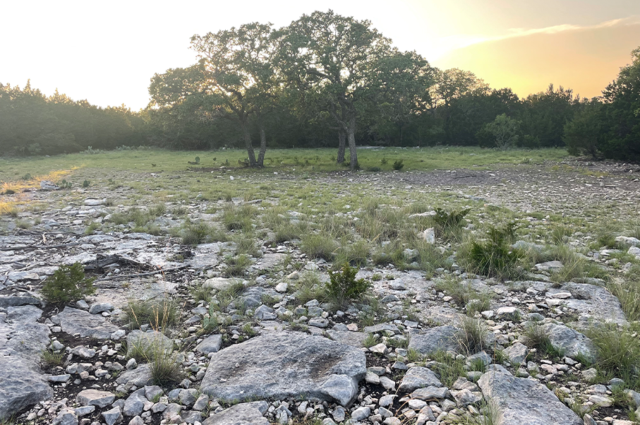 Schneider Ranch Photo