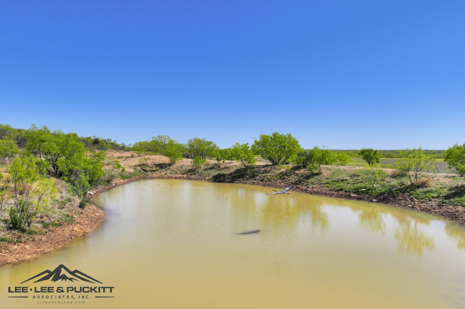 Black Ranch Photo