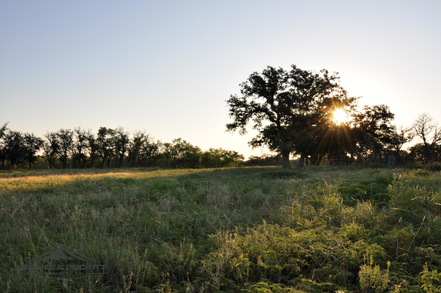 Stone Ranch Photo