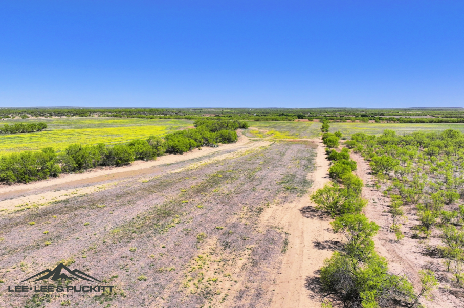 Black Ranch Photo