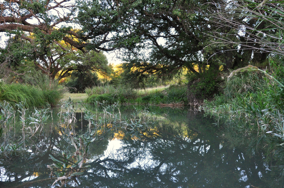 Kepler Creek Ranch Photo