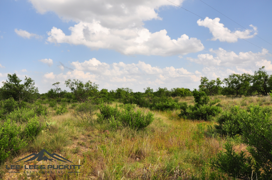 Leonard Ranch Photo