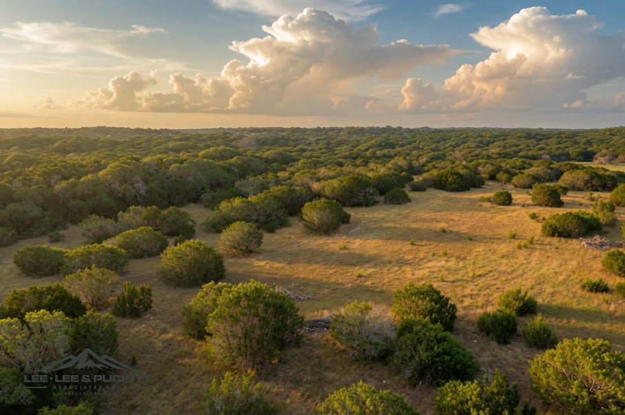 Morgan Springs Ranch Photo