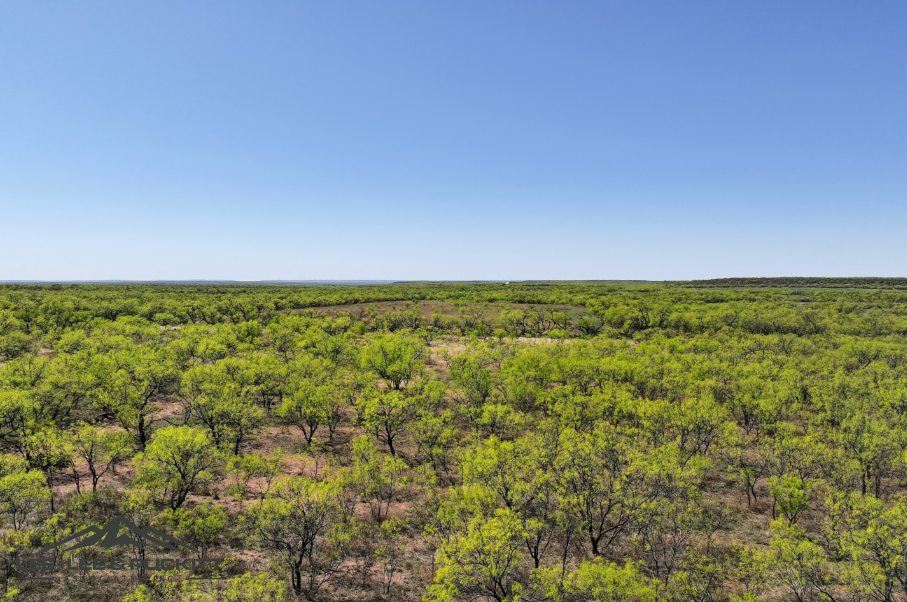 Black Ranch Photo