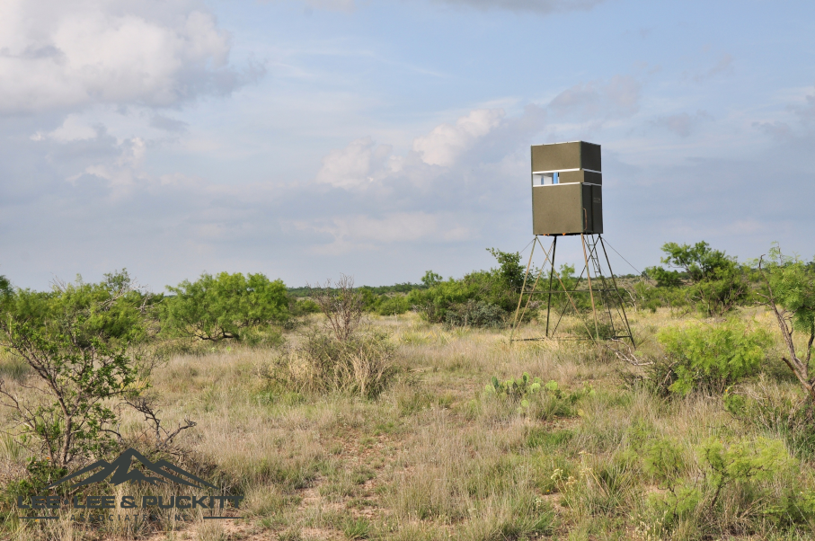 Leonard Ranch Photo