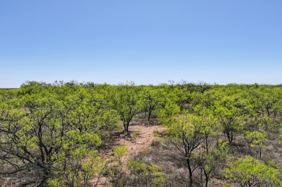 Black Ranch Photo