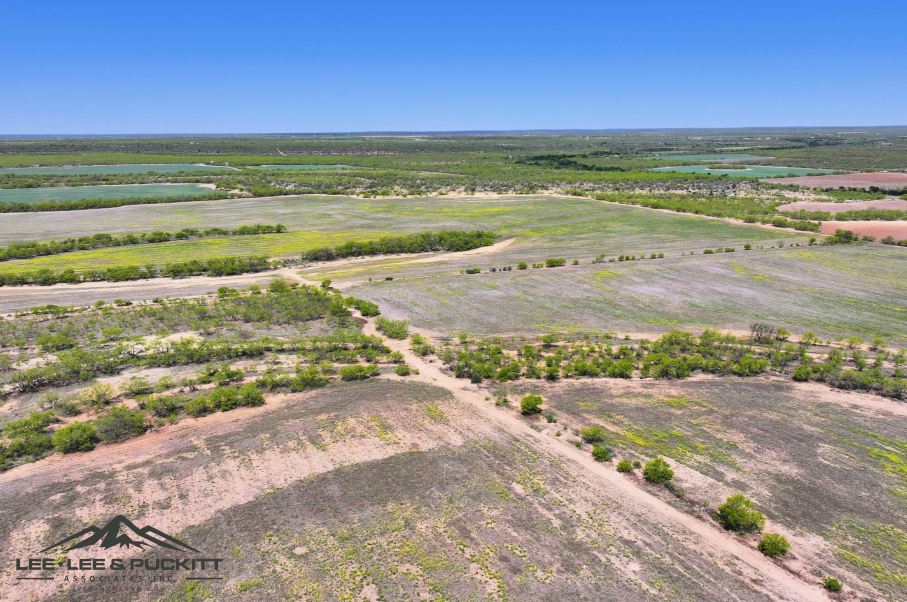 Black Ranch Photo