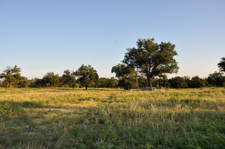 Stone Ranch Photo