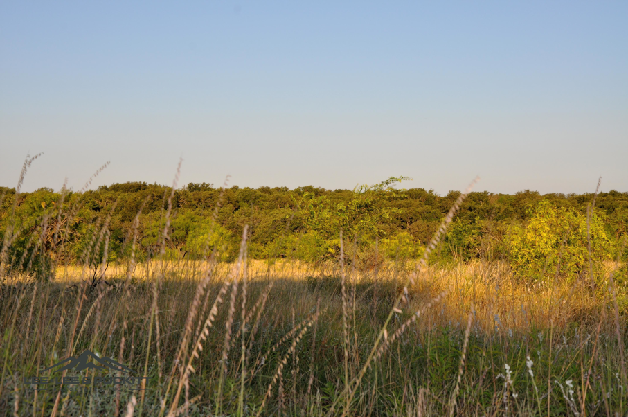 Stone Ranch Photo