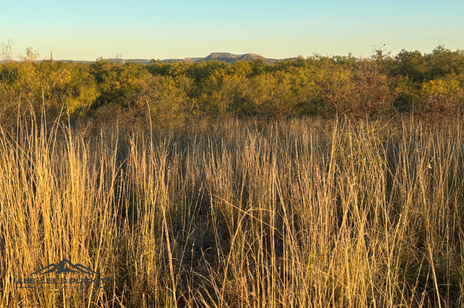 Lone Oak Ranch Photo