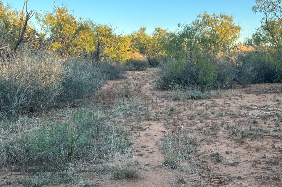 Lone Oak Ranch Photo