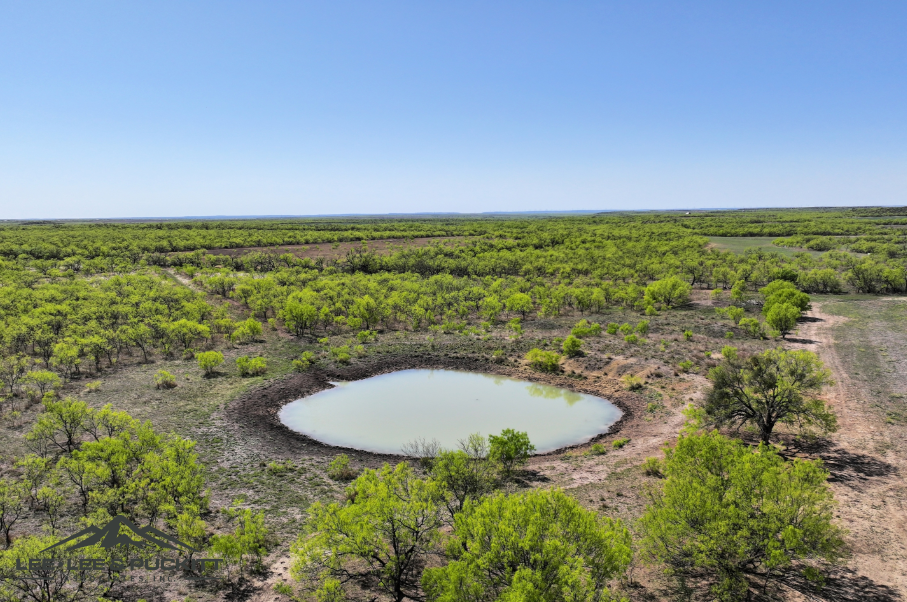Black Ranch Photo