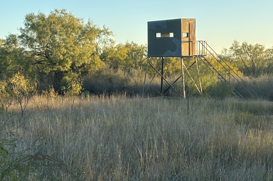 Lone Oak Ranch Photo