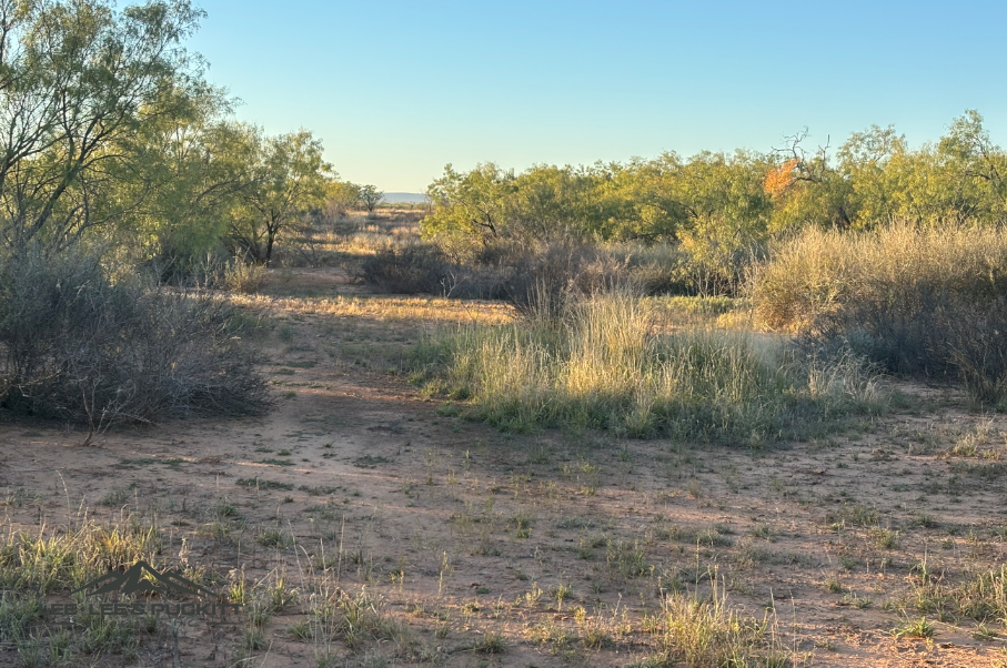 Lone Oak Ranch Photo