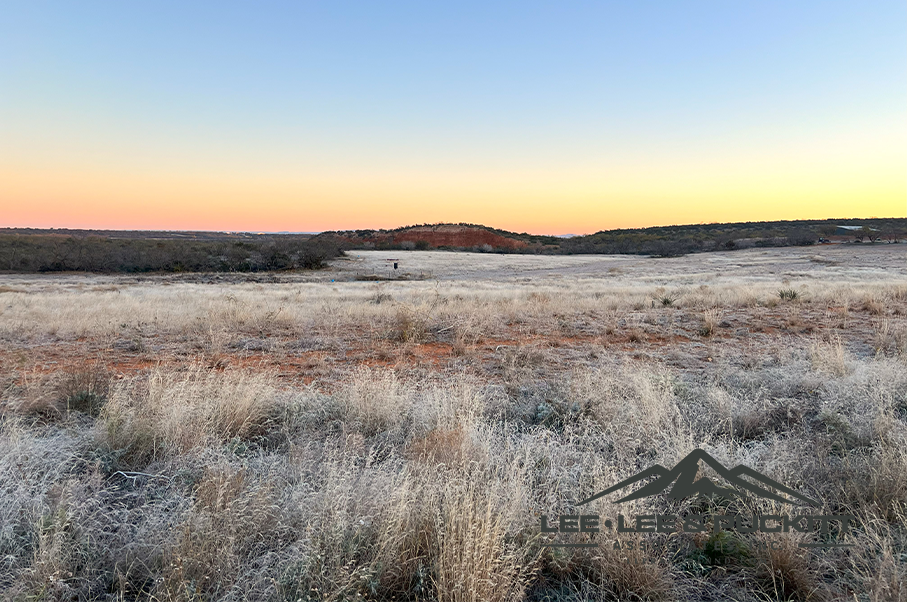 Box Ranch Photo