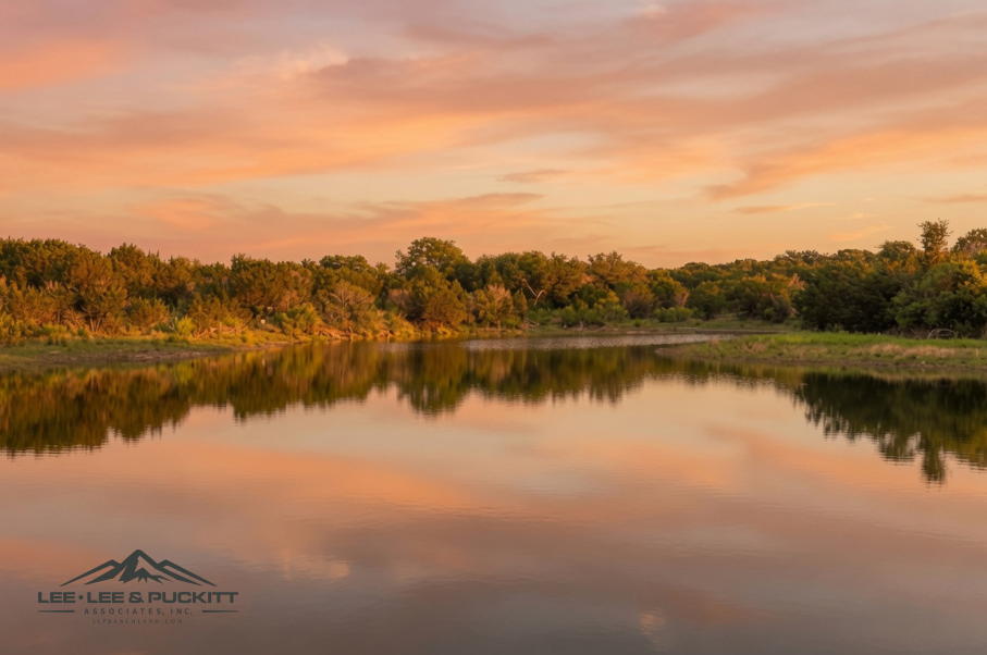 Morgan Springs Ranch Photo