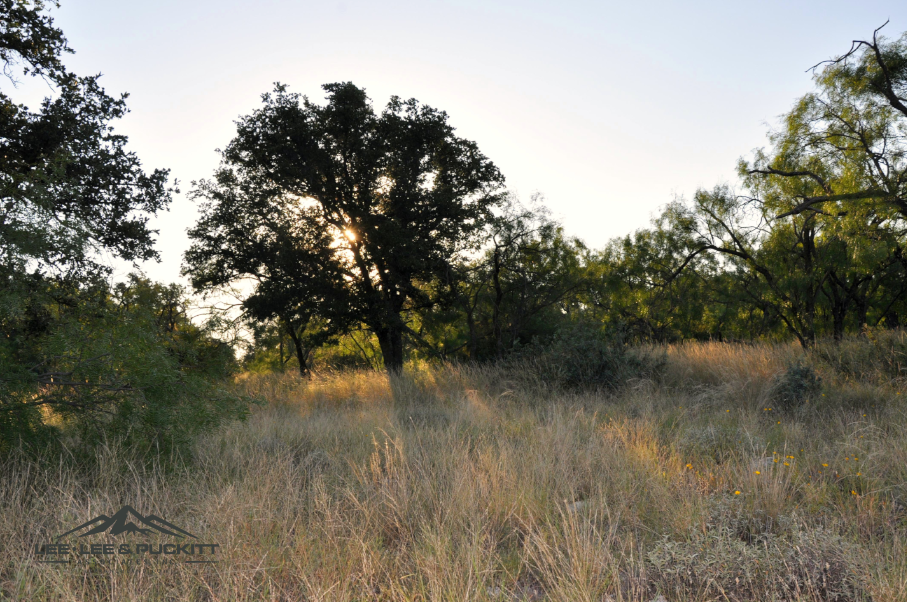 Stone Ranch Photo
