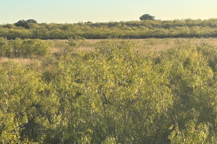 Lone Oak Ranch Photo