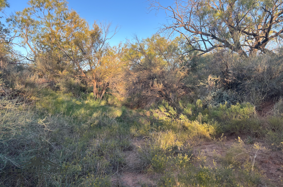 Lone Oak Ranch Photo