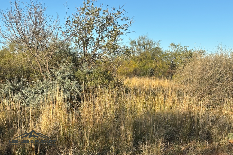 Lone Oak Ranch Photo