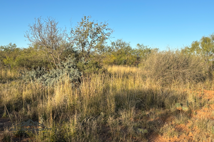 Lone Oak Ranch Photo