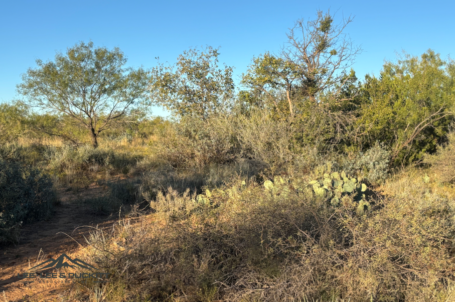 Lone Oak Ranch Photo