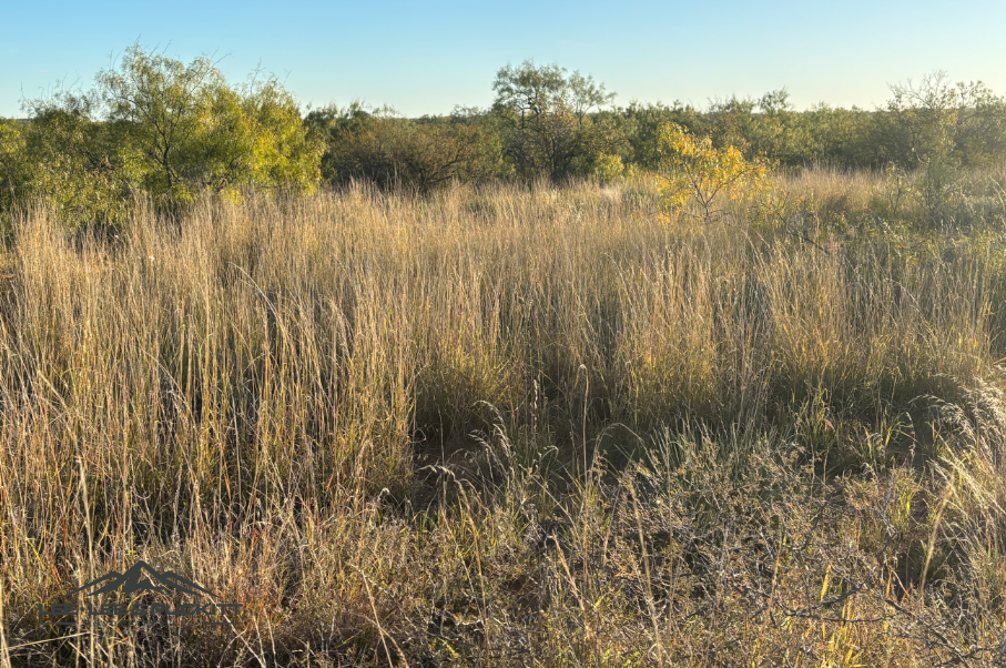 Lone Oak Ranch Photo