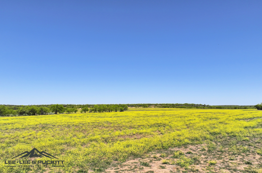 Black Ranch Photo