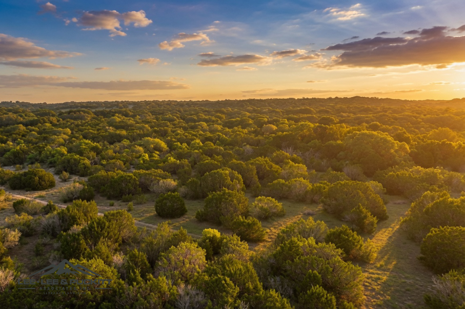 Morgan Springs Ranch Photo