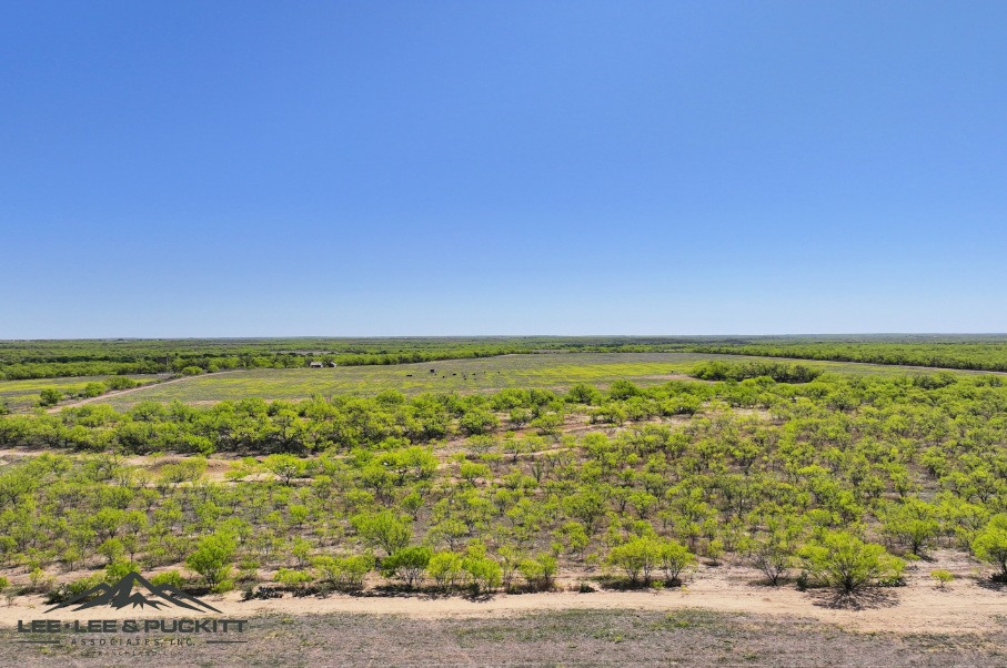 Black Ranch Photo