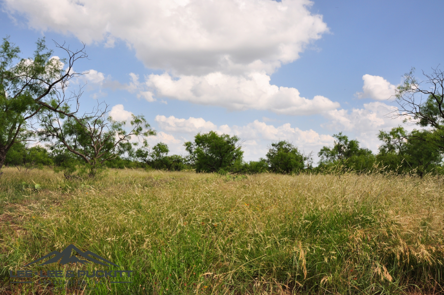 Leonard Ranch Photo