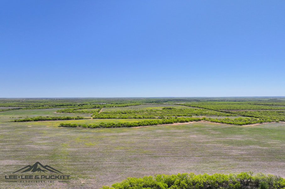 Black Ranch Photo