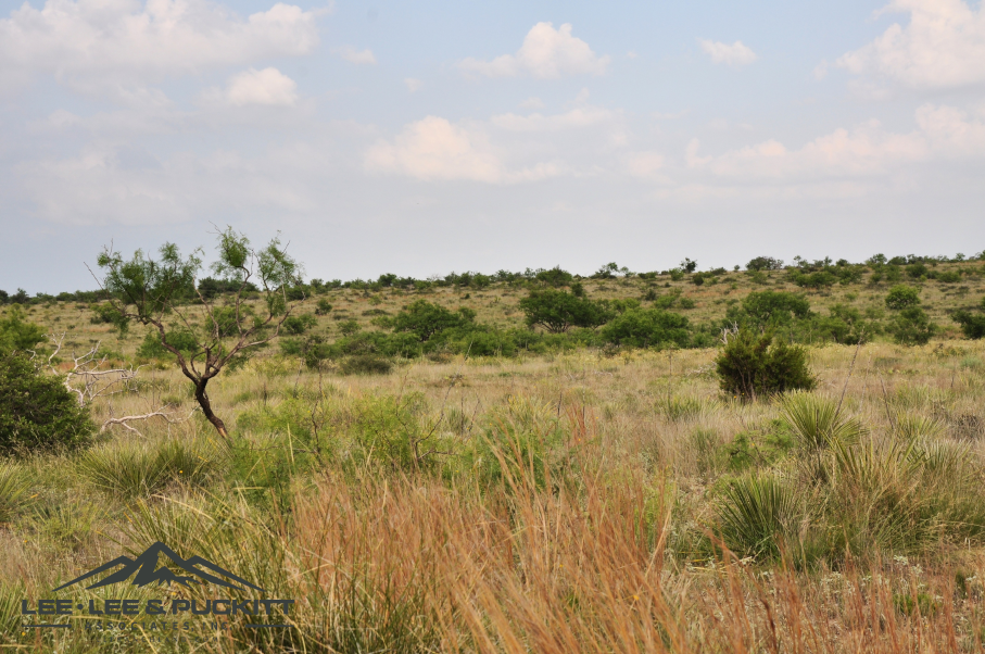 Leonard Ranch Photo