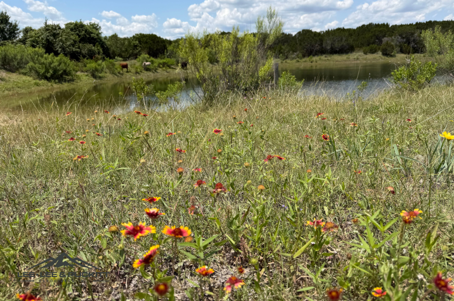Morgan Springs Ranch Photo