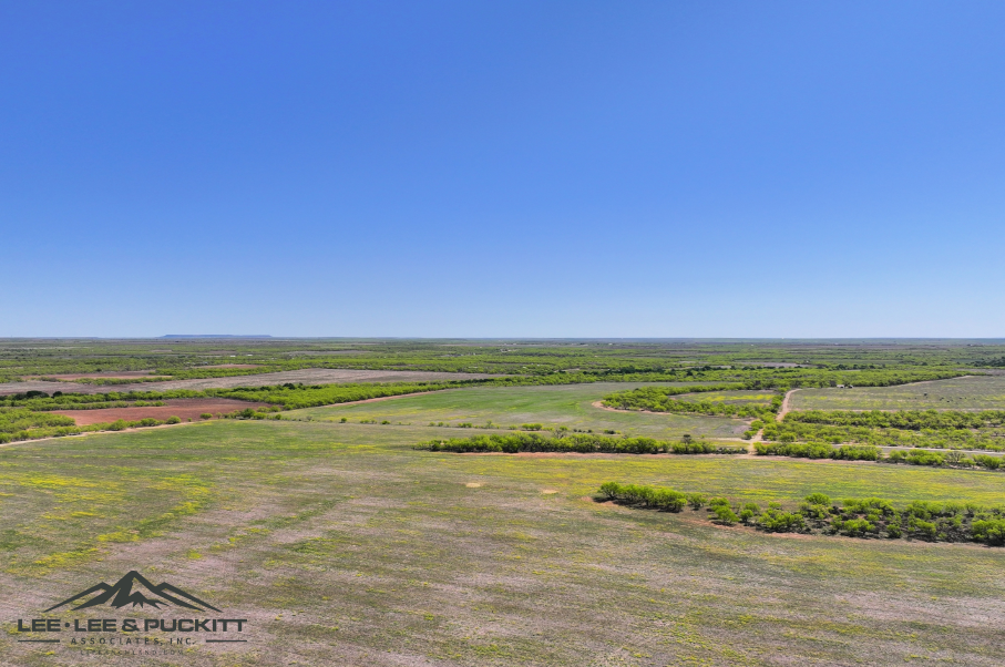 Black Ranch Photo
