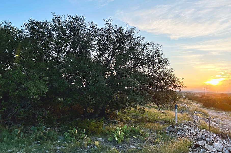 Hulldale Ranch Photo