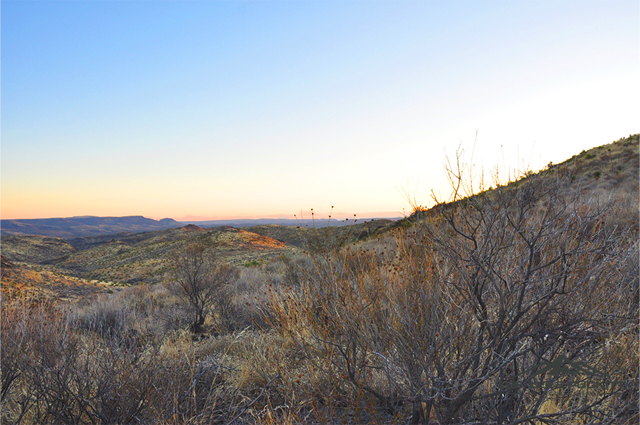 Alazan Ranch Photo