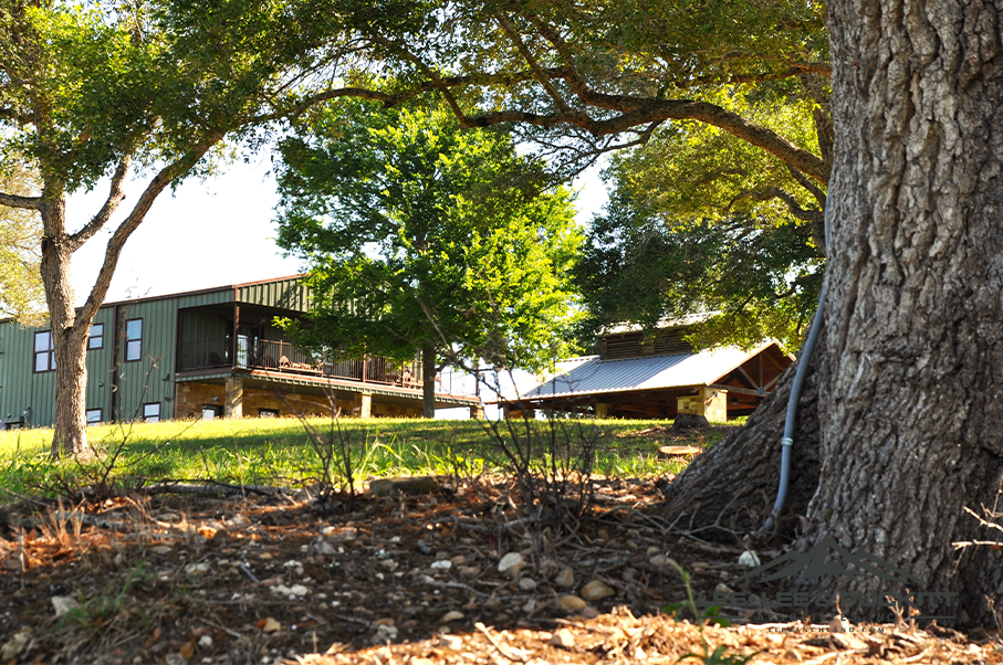 Austin Trophy Whitetail Ranch Photo