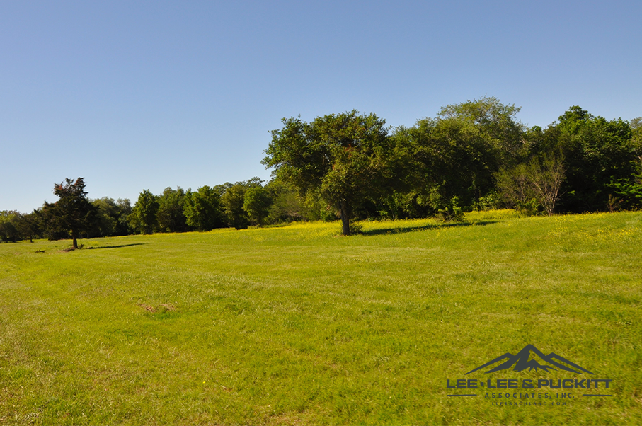 Austin Trophy Whitetail Ranch Photo