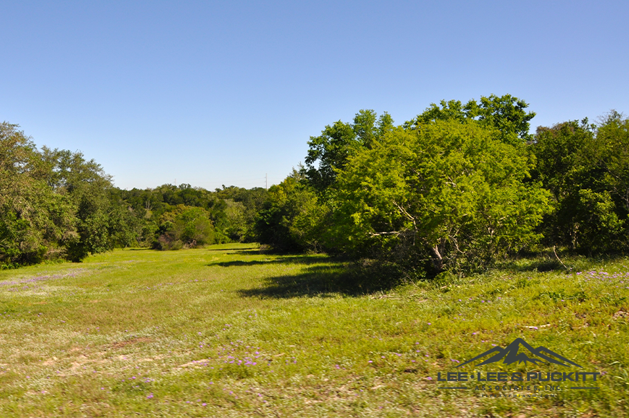 Austin Trophy Whitetail Ranch Photo