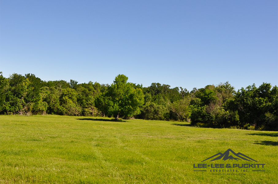 Austin Trophy Whitetail Ranch Photo