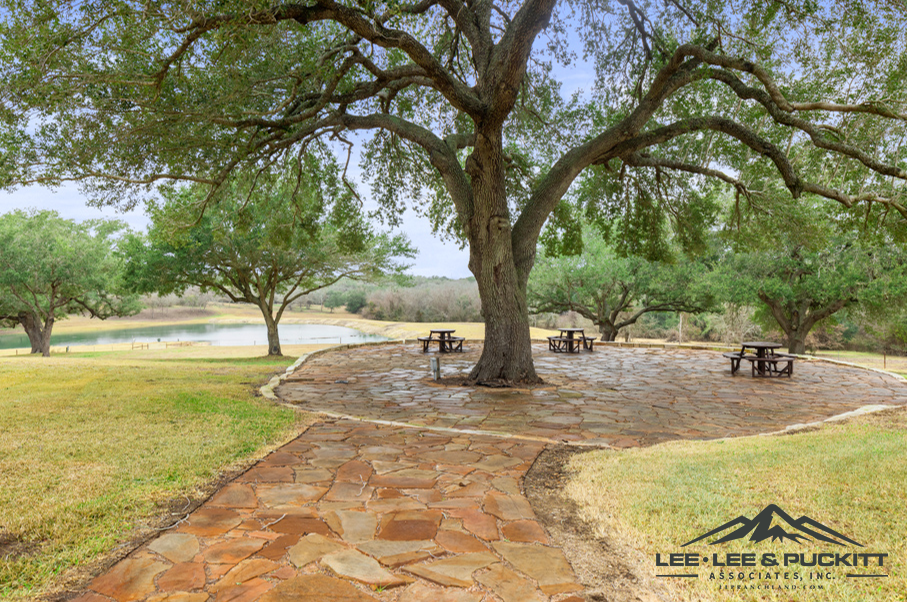 Austin Trophy Whitetail Ranch Photo