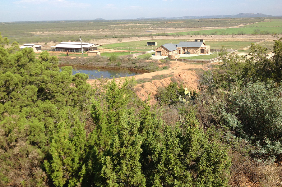 Cedar Mountain Horse Ranch Photo