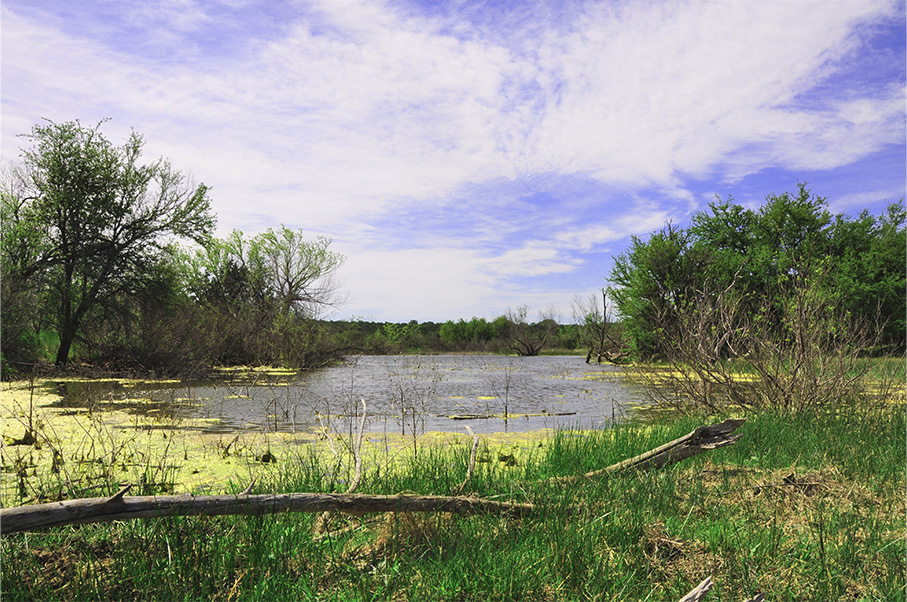 Coleman Live Oak Ranch Photo